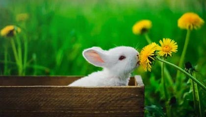 爱游戏在线-勇士三分雨再现打爆尼克斯防线，勇士 三分