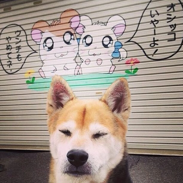 永不言弃:某球员的奋斗故事激励无数年轻人,永不言弃的例子