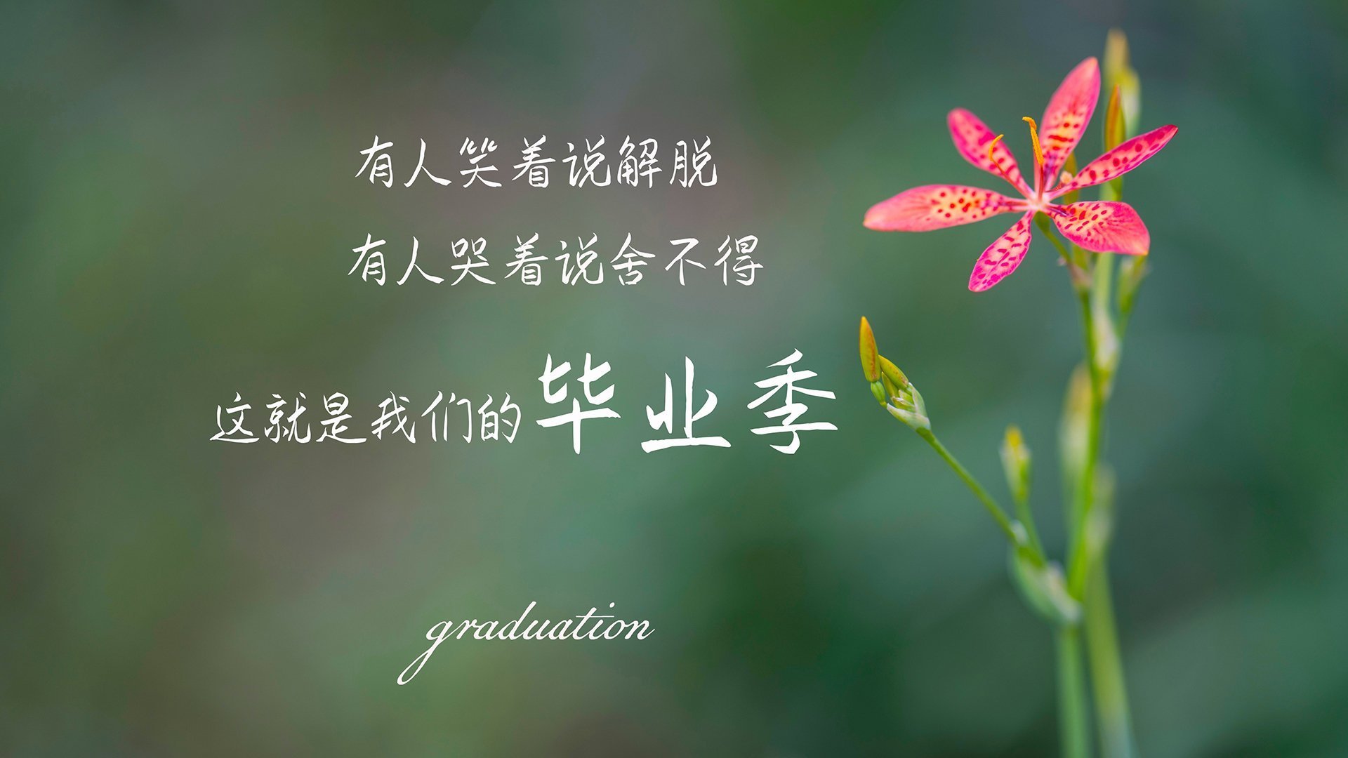 比利亚雷亚尔在欧协联中晋级半决赛,比利亚雷亚尔队史冠军