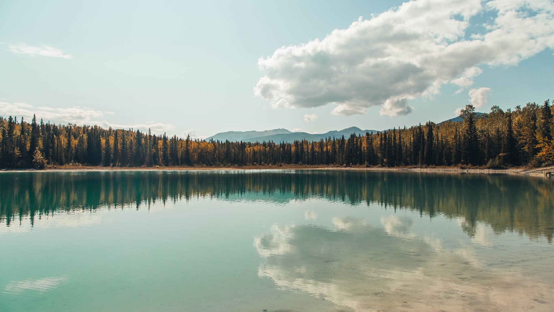 青少年足球持续火热，青训试点城市经验继续推广应用，青少年足球训练营