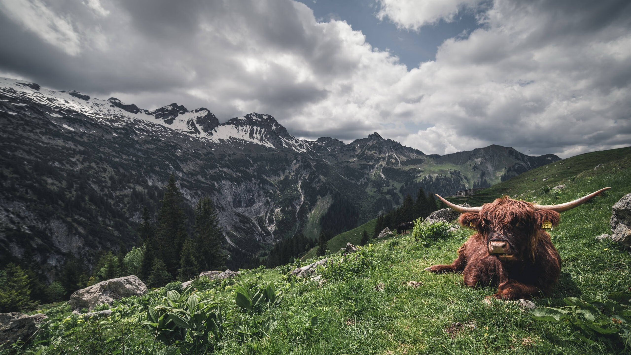 青少年裁判员“导师+学员”培训模式探索行业新局面，关于举办裁判员培训班的通知