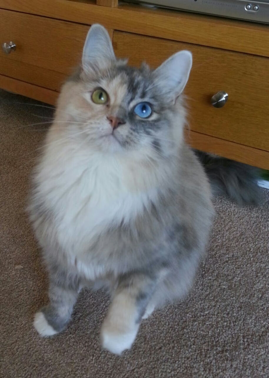 ayx-体育赛事焦点：女足比赛中的激烈对抗！，女足身体对抗