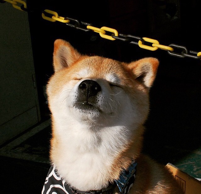 华夏幸福开启胜利之门,全队士气高昂,华夏幸福将何去何从