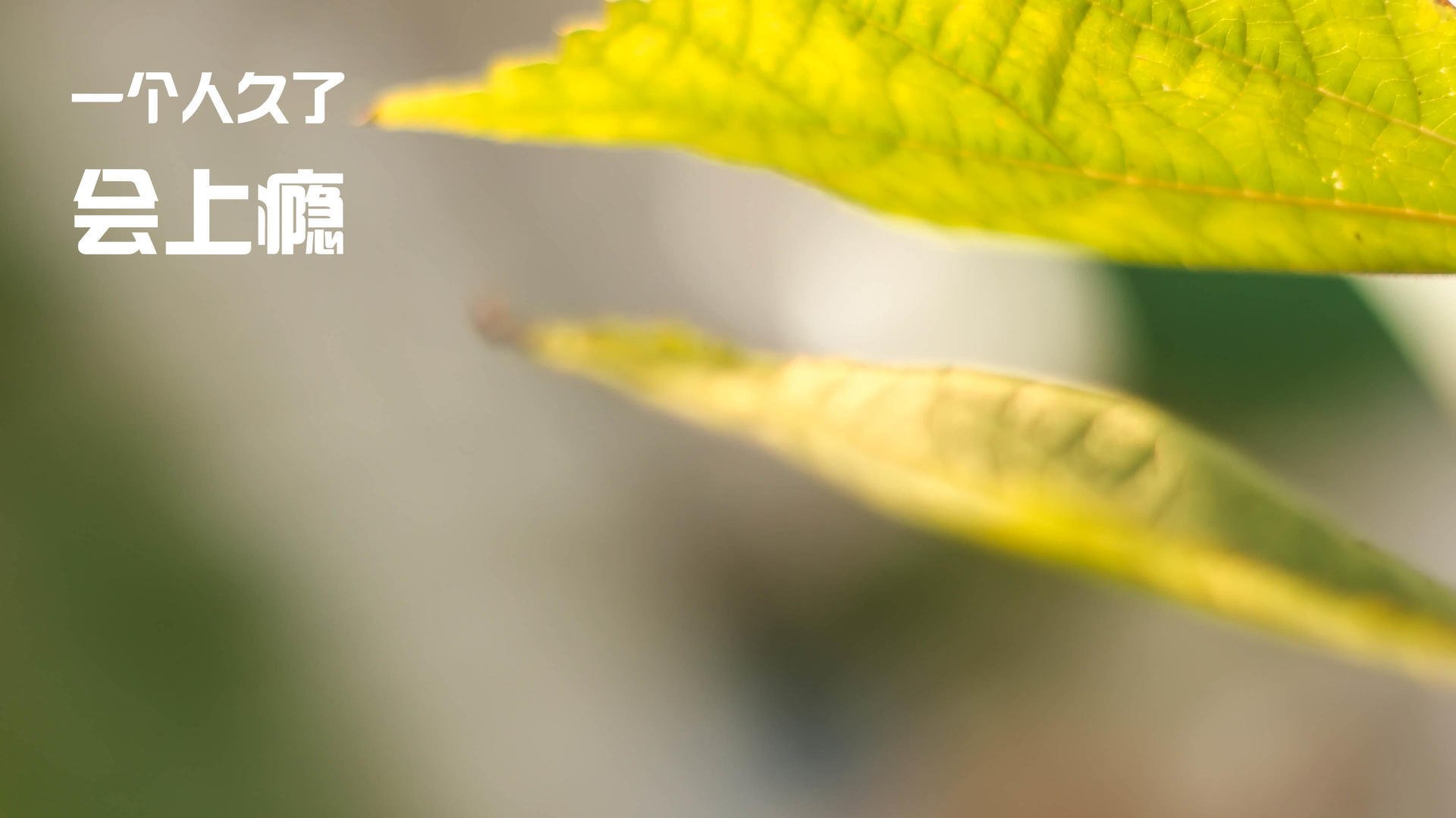 爱游戏在线-塞内加尔队在巴黎奥运会比赛中多次利用边路进攻，塞内加尔足球运动员