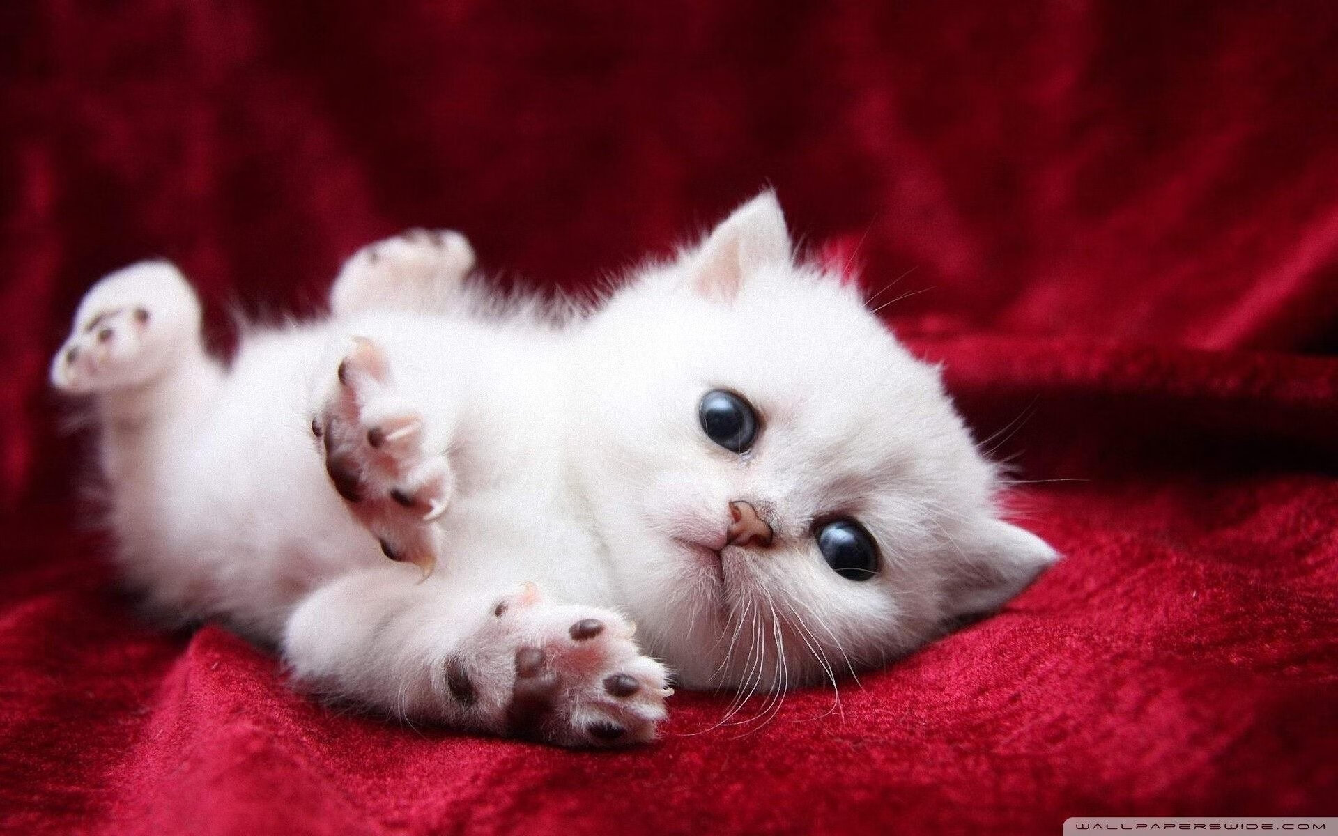 川崎前锋客场关键胜利，川崎前锋2021