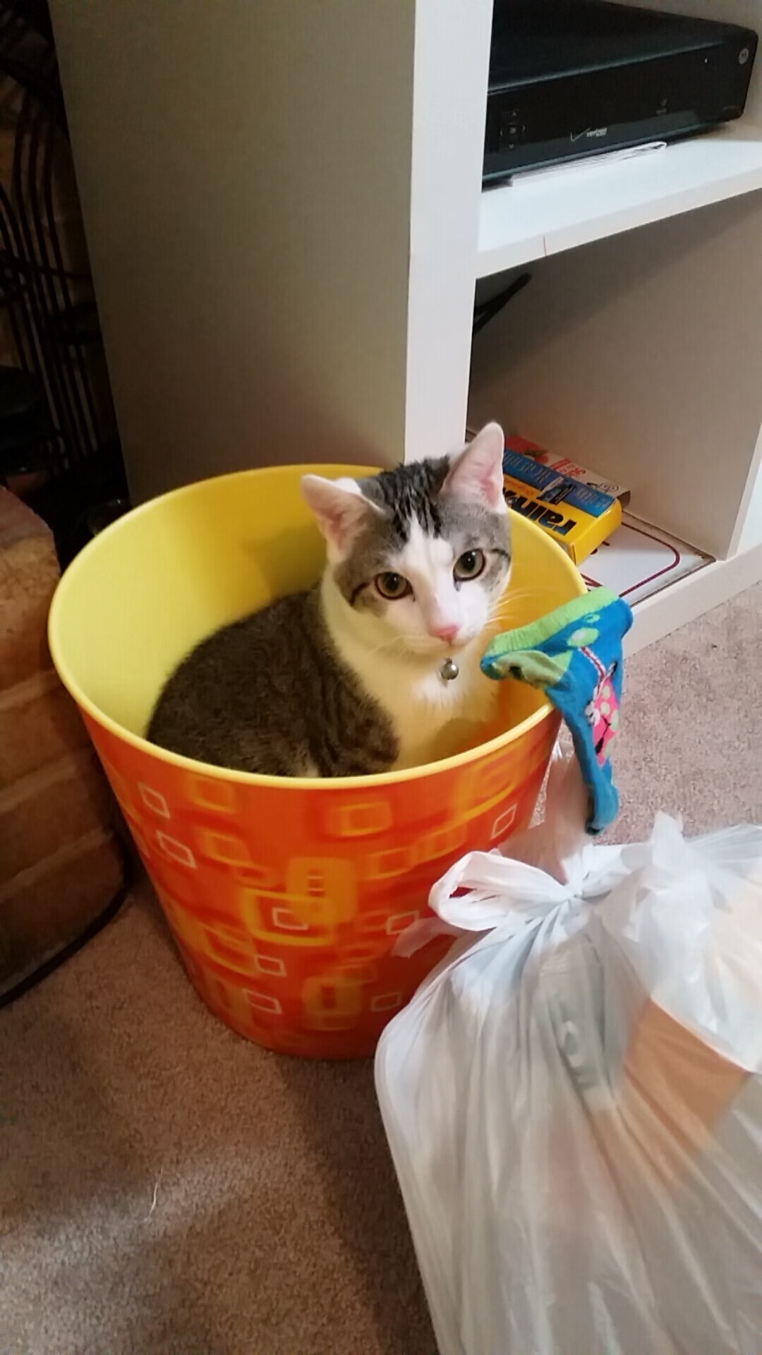 爱游戏在线-巴黎圣日耳曼再战胜，欧冠夺冠在望！，巴黎圣日耳曼在欧冠最好的成绩