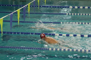 爱游戏首页入口-世界青少年游泳接力锦标赛中国队强势出击，世界游泳锦标赛接力决赛