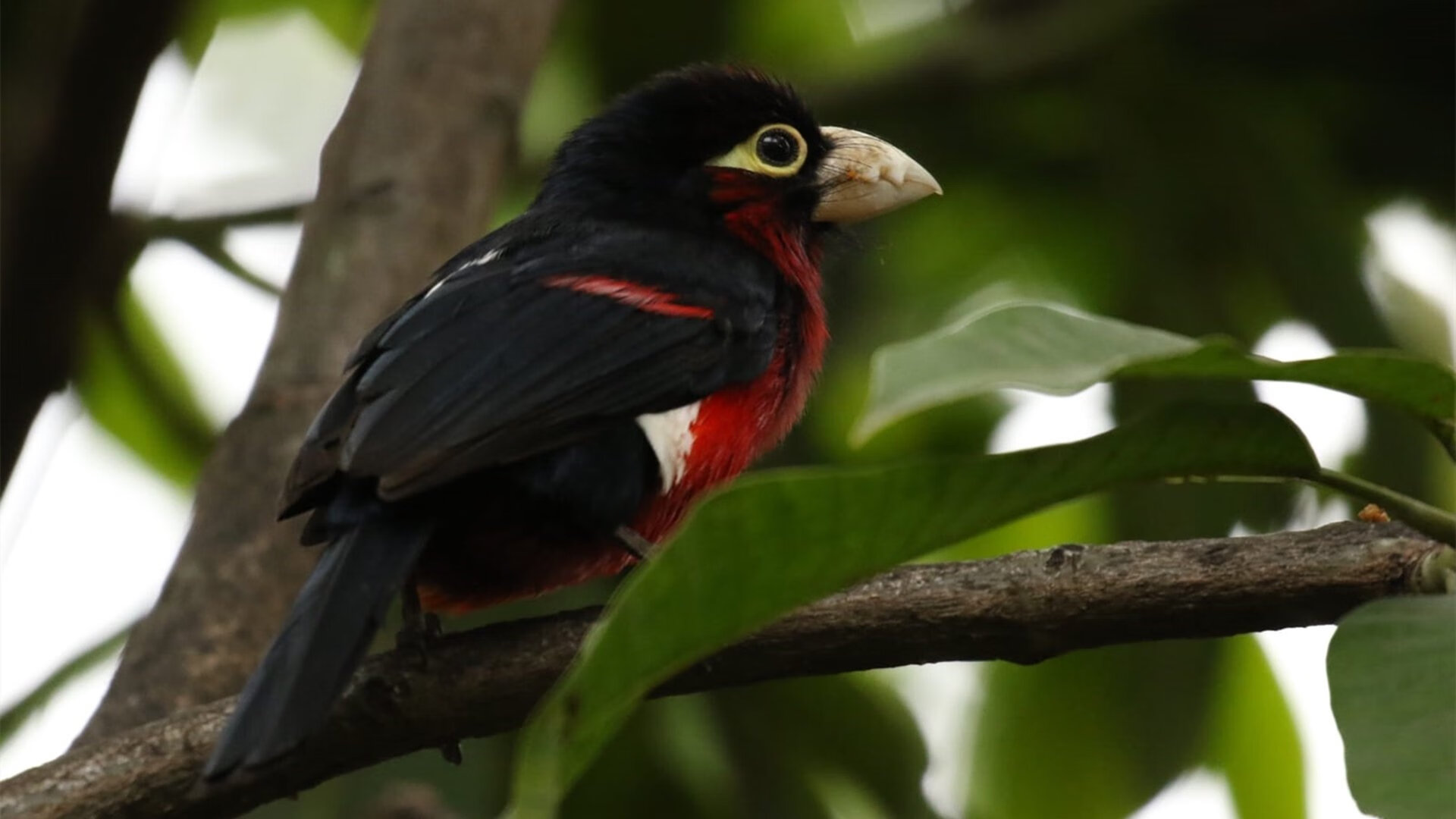 西甲球队热区密度图调整防守站位的实践探讨