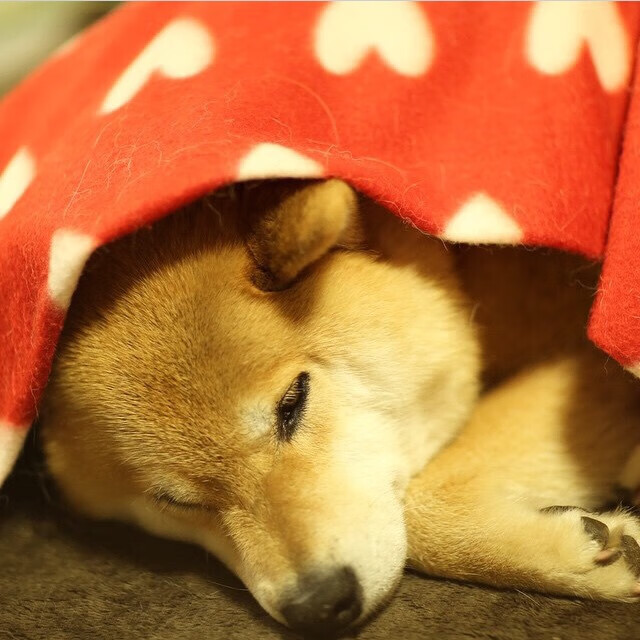 爱游戏平台-CBA球队推广先进训练理念融合实战演练，cba宣传