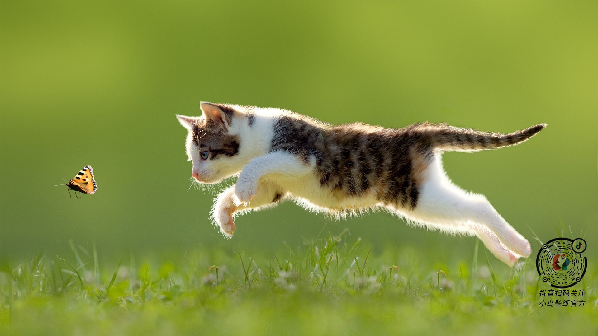 中国三人篮球男队强化协防策略，三人篮球 中国男篮